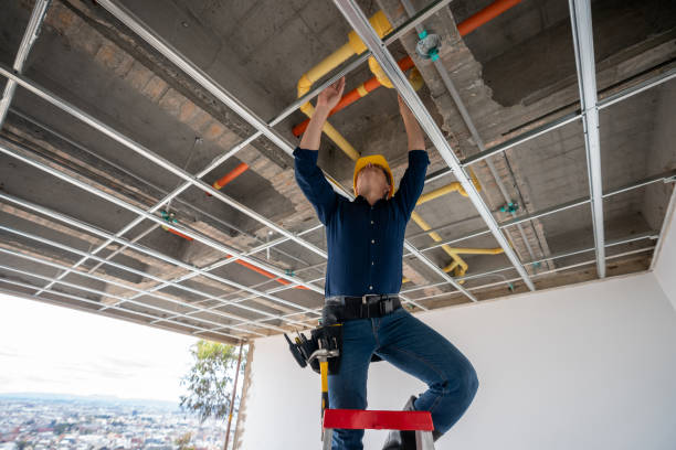 Best Plumbing Inspection Services  in Mount Arlington, NJ